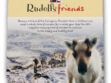 United Kingdom : Adopt a Reindeer with Christmas