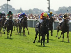 Day at the Races for Two - Limerick Limerick Racecourse