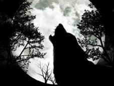 Full Moon Walk for Two Co. Wicklow