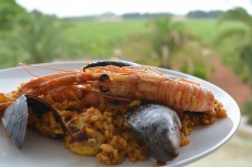 Seafood paella cooking class in Mallorca