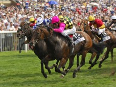 Northern Ireland : Go Horse Racing for Two - Northern Ireland 2 racecourses in Northern Ireland - Downpatrick, Down Royal