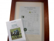 Become a Racehorse Owner