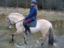 Horse Riding Ireland