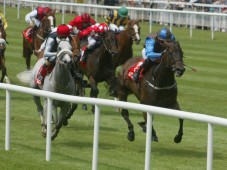 Enjoy a day at the races in Ireland