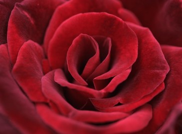 Valentine's Day Gifts for Women