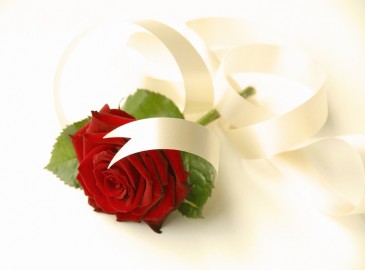 Valentines Day Gifts