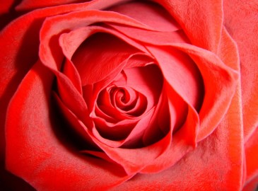 The Best Valentine's Day Ideas