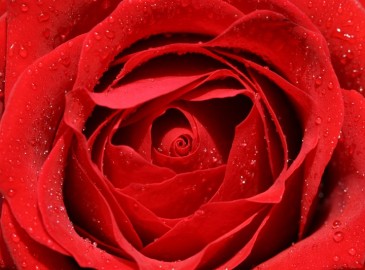 Gift Ideas for Valentines Day