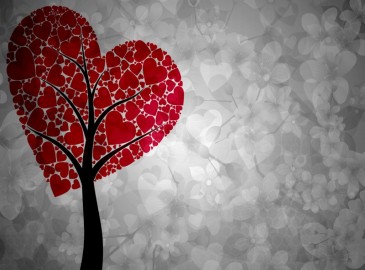 Valentine's Day Specials