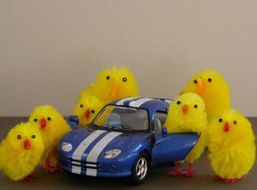 Easter Gifts for Him