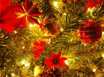 Christmas Gift Ideas & Gift Experiences in Co. Wicklow