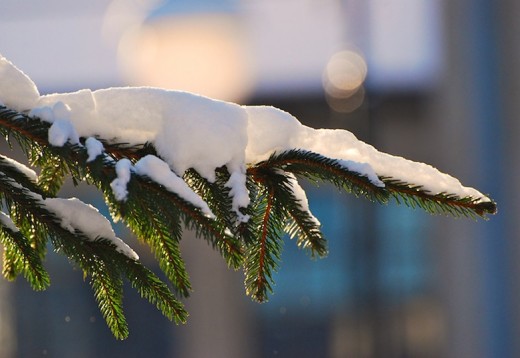 Christmas Gift Ideas in Co. Galway