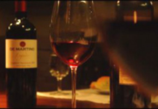 Wine and Vineyard Experiences