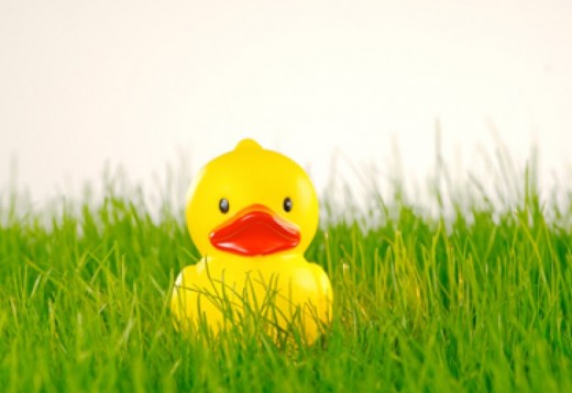 Easter Experiences for Him