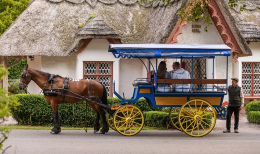 Killarney Jaunting Car Tour & Afternoon Tea