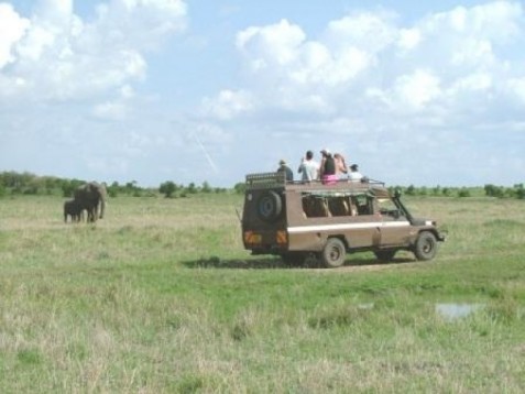 Safari Tour in Kenya