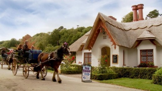 Killarney Jaunting Car and Lake Tour