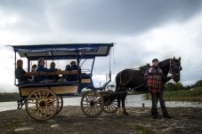 Jaunting Car Ride Killarney