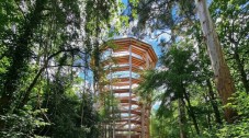 Avondale Treetop Walk Adult Ticket