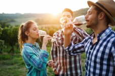 Wine Tasting for Two in Ireland