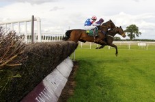 Day at the Races - €39 Gift Voucher