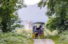 Killarney Jaunting Car Tour & Afternoon Tea