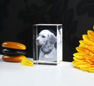 Adoquín de cristal 3D 130x100x90mm - 1 a 6 personas + columna de luz