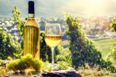 Romanian Wine Tasting Tour