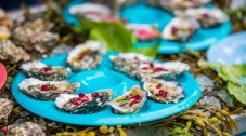 Sligo Oyster & Wine Tasting