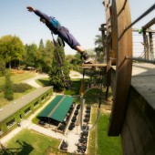 Have fun at Belgium's biggest adventure park
