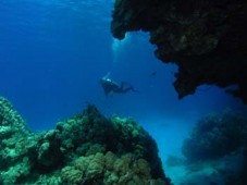 Underwater beauty