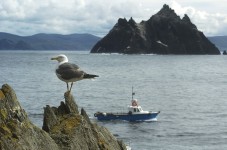 Skellig Island eco boat tour
