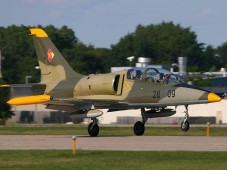45 min Fly a jet (L-39 Albatros) in the U.S. (Tampa, Florida)