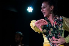 Cena y Flamenco en Madrid - 2 personas