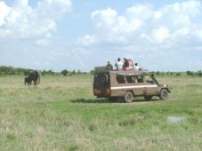 Safari Tour in Kenya