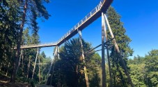 Avondale Treetop Walk Adult Ticket