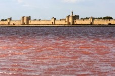 Visite des Tours et Remparts d'Aigues-Mortes - (30)