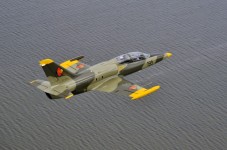 Fly a jet (L-39 Albatros) in Germany