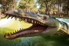 Dino Parque Lourinhã - Bilhete criança dos 4 aos 12 anos