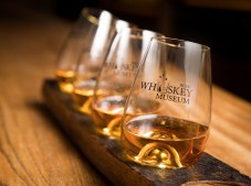 Irish Whiskey Museum: tour classico o premium