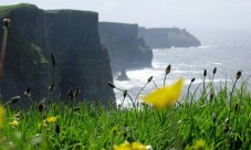 Cliffs of Moher Day Tour