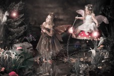 Sibling Fairy Photoshoot Experience