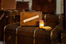 The Paddington Bear ™ Experience - For Two