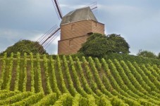 Visit Cordon Rouge - Maison Mumm - Reims (51)