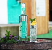 Gin Tasting Class at Stillgarden Distillery 