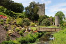 The Blarney Castle and Cork Tour