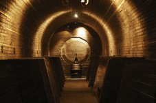Visit 100% Grand Cru - Maison Mumm - Reims (51)