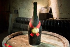 Visit Cordon Rouge - Maison Mumm - Reims (51)