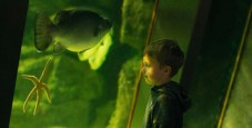 Galway Atlantaquaria Childs Ticket