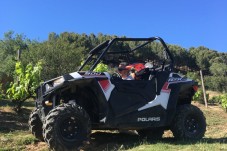 Ruta en Buggy Off Road - 2 personas